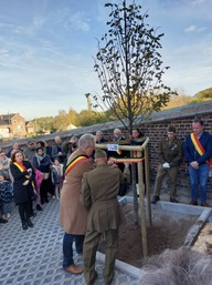 Inauguration du tilleul le 11 novembre 2022